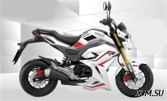 Мотоцикл PROMAX STRYKER 150(49) OFF-ROAD 2.0