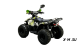 Квадроцикл Bison Eagle 110
