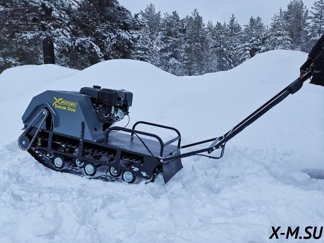 Мотобуксировщик SNOW DOG 20 (DINKING)