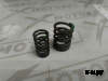 Комплект пружин клапана RW171FMM ATV GBM EXPLORER 400