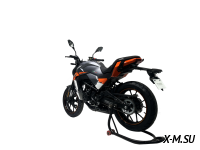 Мотоцикл TMBK MONTANA 250 (165 FMM)