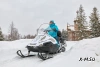 Снегоход STELS СТАВР MS 700 WT 4T