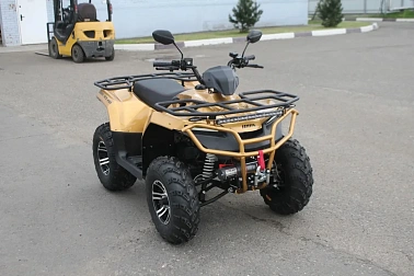 Квадроцикл IRBIS ATV250 PREMIUM