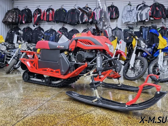 Снегоход IRBIS DINGO T200 25/26