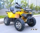 Квадроцикл MOTOLAND (МОТОЛЕНД) VOX200 WILD TRACK X PRO (баланс. вал)