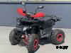 Квадроцикл PROMAX WILD 2.0 190 LUX Красный