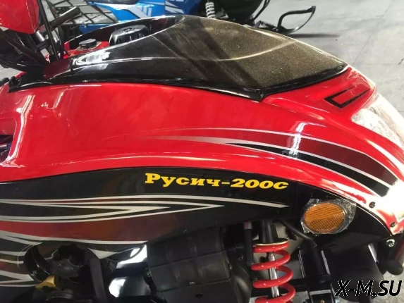 СНЕГОХОД РУСИЧ 200C