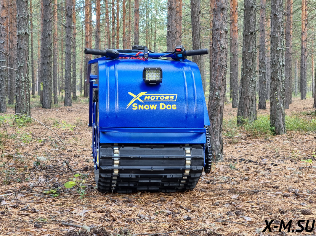 Мотобуксировщик SNOW DOG 20 (DINKING)