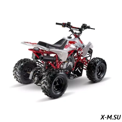 Квадроцикл ACCESS AMS 110 MINISPORT